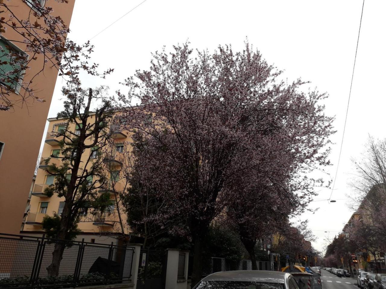 Sant'Orsola Bologna Appartamento Exterior photo